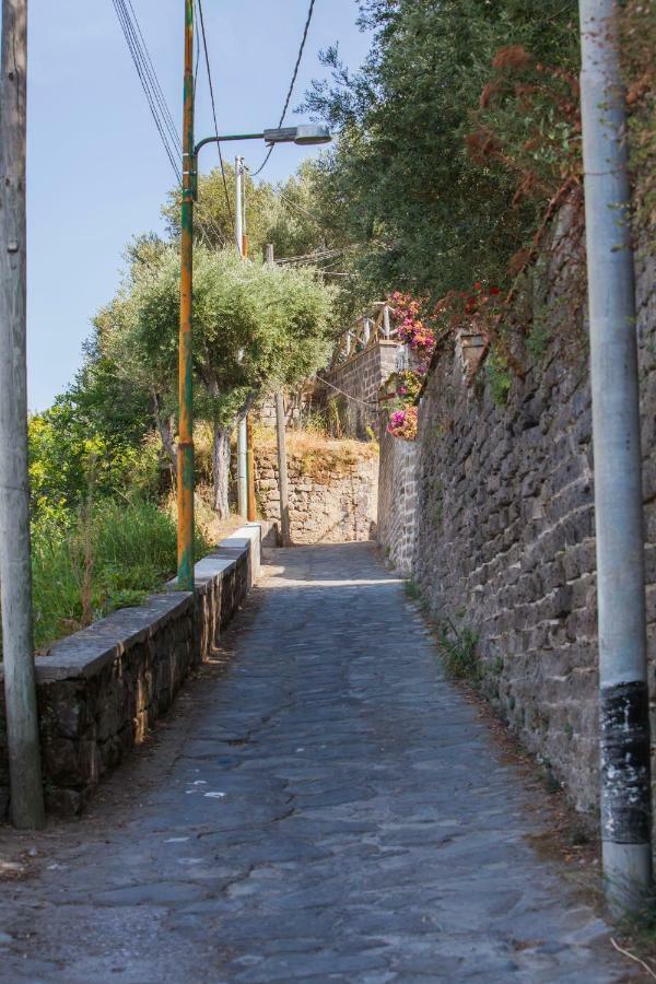 Maison del Mare Sorrento. Exterior foto